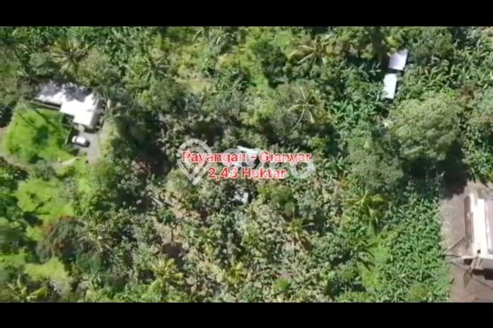 Dijual Tanah Kawasan Payangan, Luas 24300m², Dekat Fasilitas Umum Dijual Tanah Kawasan Payangan, Luas 24300m², Dekat Fasilitas Umum