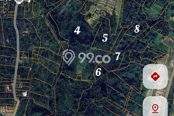 Kavling Tanah di Payangan Dijual Luas 60900m2 Legalitas SHM Kavling Tanah di Payangan Dijual Luas 60900m2 Legalitas SHM