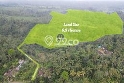 Kavling Tanah di Payangan Dijual Luas 60900m2 Legalitas SHM Kavling Tanah di Payangan Dijual Luas 60900m2 Legalitas SHM