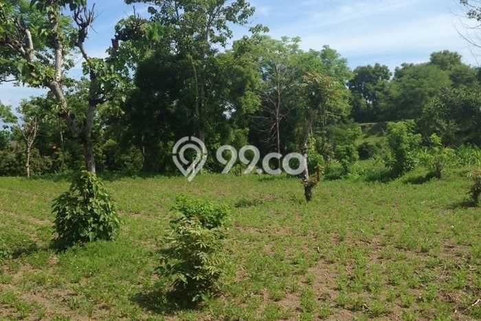 Dijual Tanah di Singaraja, Luas 7100m², Kawasan Nyaman, Kontur Rata Dijual Tanah di Singaraja, Luas 7100m², Kawasan Nyaman, Kontur Rata