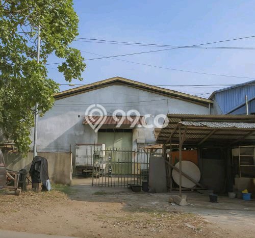 Gudang disewakan lokasi strategis Semarang Utara Semarang 500m2 Gudang disewakan lokasi strategis Semarang Utara Semarang 500m2