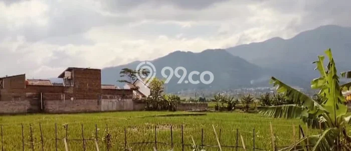 Untuk Dijual Tanah di Tarogong Kaler Garut Luas 3885m2 SHM Untuk Dijual Tanah di Tarogong Kaler Garut Luas 3885m2 SHM