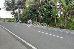 Jual Tanah di Moyudan, Luas 116m², Lingkungan Asri Jual Tanah di Moyudan, Luas 116m², Lingkungan Asri