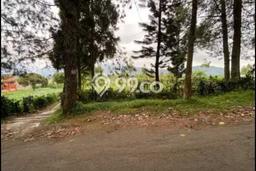 Tanah Kavling Dijual di Lembang, Bandung dengan Luas Tanah 1028m2 Tanah Kavling Dijual di Lembang, Bandung dengan Luas Tanah 1028m2