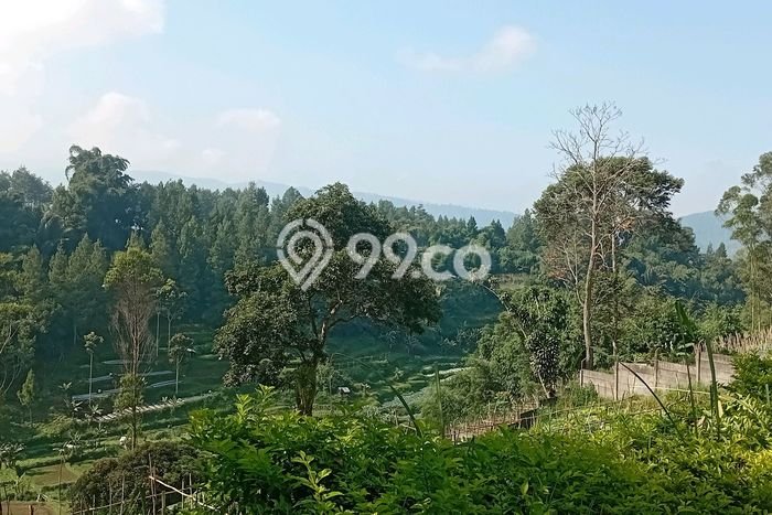 Vila Berkembang Kawasan , Area 15000m2m², Akses mudah Bandung, Bandung Vila Berkembang Kawasan , Area 15000m2m², Akses mudah Bandung, Bandung