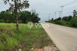 Tanah Dijual Lokasi Lirik, Indragiri Hulu Luas 2397m2 Legalitas Aman Tanah Dijual Lokasi Lirik, Indragiri Hulu Luas 2397m2 Legalitas Aman