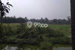 Lahan Investasi Lokasi Gunung Sindur Bogor SHM Lahan Investasi Lokasi Gunung Sindur Bogor SHM