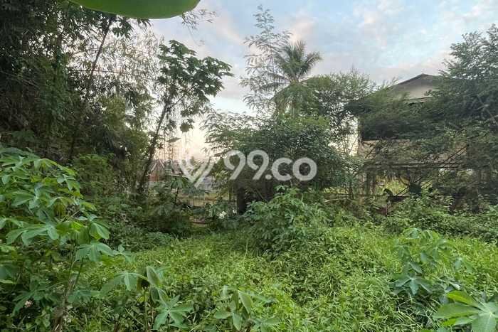 Kavling Tanah Dijual di Setu Tangerang Selatan Spesifikasi 500m2 Kavling Tanah Dijual di Setu Tangerang Selatan Spesifikasi 500m2