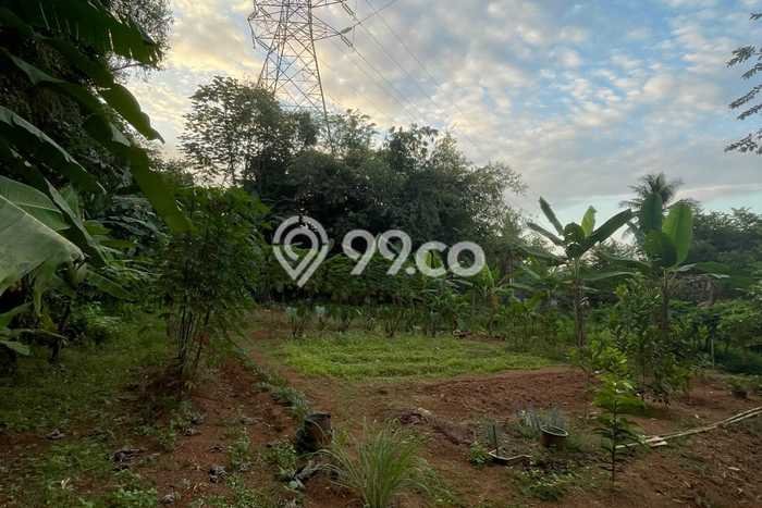 Kavling Tanah Dijual di Setu Tangerang Selatan Spesifikasi 500m2 Kavling Tanah Dijual di Setu Tangerang Selatan Spesifikasi 500m2