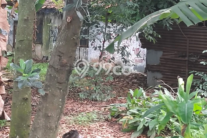 Tanah Kavling di Jatisampurna Dijual dengan Luas 1461m2 Tanah Kavling di Jatisampurna Dijual dengan Luas 1461m2