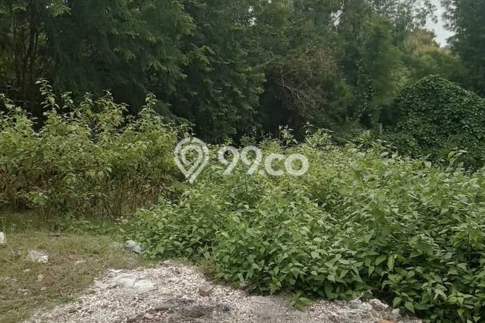 Untuk Dijual Tanah 400m2 di Ungasan, Badung Untuk Dijual Tanah 400m2 di Ungasan, Badung