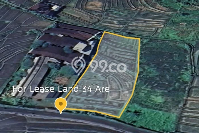 Kavling Tanah untuk Disewa di Kaba kaba Lahan Luas 3400m2 Kavling Tanah untuk Disewa di Kaba kaba Lahan Luas 3400m2