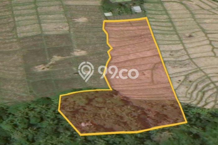 Tanah Dijual di Badung Seluas 2800m2 Strategis Tanah Dijual di Badung Seluas 2800m2 Strategis