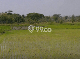 Lahan Investasi Lokasi Kesamben Jombang SHM Lahan Investasi Lokasi Kesamben Jombang SHM
