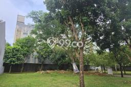 Tanah Kavling Dijual di BSD Foresta, Tangerang dengan Luas Tanah 345m2 Tanah Kavling Dijual di BSD Foresta, Tangerang dengan Luas Tanah 345m2