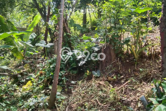 Tanah Kavling di Mandalajati Dijual dengan Luas 308m2 Tanah Kavling di Mandalajati Dijual dengan Luas 308m2