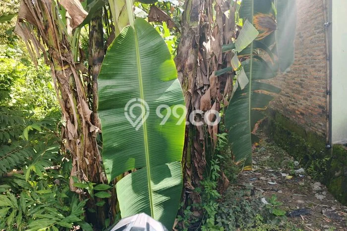 Tanah di Gondangrejo, Karanganyar Luas 133m2 Dijual Segera Tanah di Gondangrejo, Karanganyar Luas 133m2 Dijual Segera