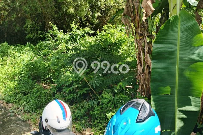 Tanah di Gondangrejo, Karanganyar Luas 133m2 Dijual Segera Tanah di Gondangrejo, Karanganyar Luas 133m2 Dijual Segera