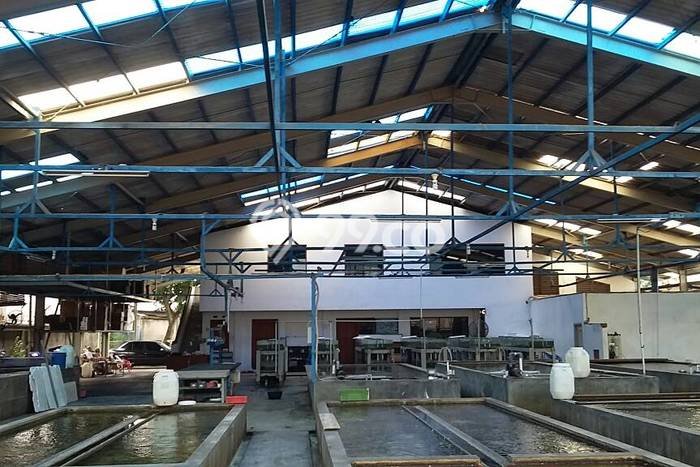 Gudang Dijual di Prime Area Jakarta Barat Luas 900m2 Gudang Dijual di Prime Area Jakarta Barat Luas 900m2