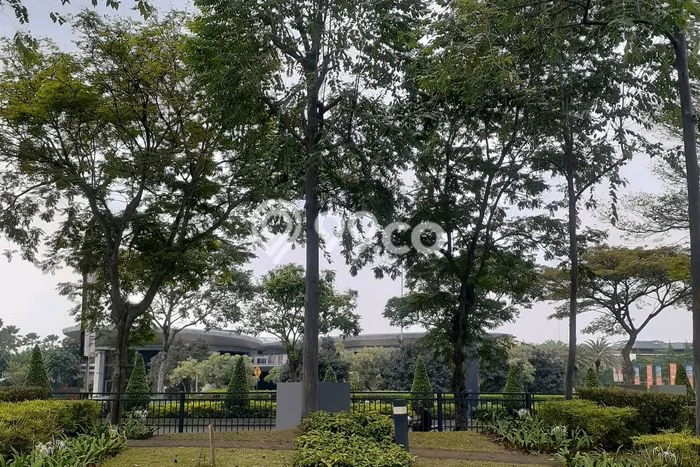Sewa Rumah Harga Terjangkau di BSD Tangerang dengan 5 Kamar Tidur Sewa Rumah Harga Terjangkau di BSD Tangerang dengan 5 Kamar Tidur