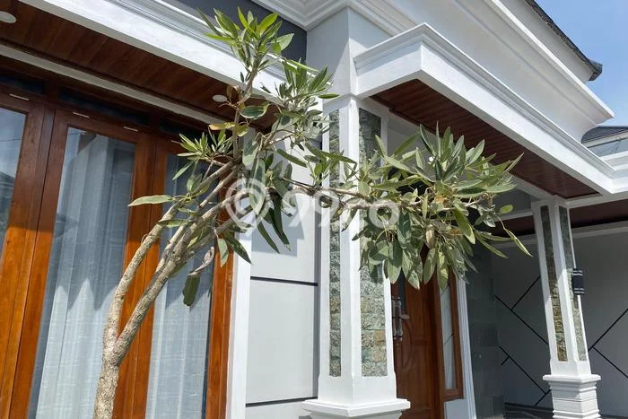 Hunian Terjangkau Dijual Area Trucuk, Klaten Harga Rp 425 Juta Hunian Terjangkau Dijual Area Trucuk, Klaten Harga Rp 425 Juta