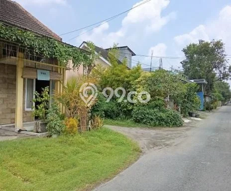 Rumah Murah LT 84m2 di Kediri Lingkungan Asri Rumah Murah LT 84m2 di Kediri Lingkungan Asri