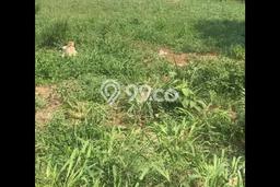 Lahan Kosong Dijual di Bogor dengan Area 1000m2 Lahan Kosong Dijual di Bogor dengan Area 1000m2