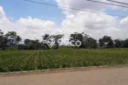 Tanah Dijual Lokasi Padalarang, Bandung Barat Luas 10200m2 Legalitas Aman Tanah Dijual Lokasi Padalarang, Bandung Barat Luas 10200m2 Legalitas Aman