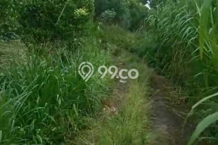 Lahan Kosong Dijual di Badung dengan Area 20000m2 Lahan Kosong Dijual di Badung dengan Area 20000m2
