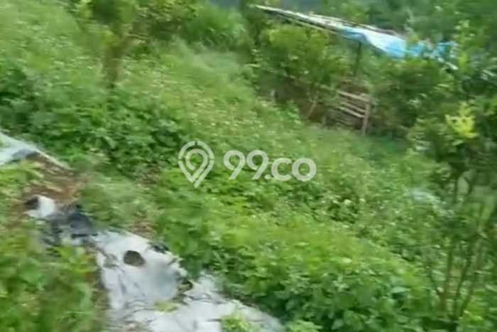 Lahan Dijual Lokasi Petang, Badung dengan Luas Tanah 20000m2 dan Status SHM Lahan Dijual Lokasi Petang, Badung dengan Luas Tanah 20000m2 dan Status SHM