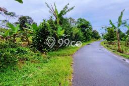 Tanah Kavling untuk Dijual di Kiarapedes Purwakarta 10128m2 Tanah Kavling untuk Dijual di Kiarapedes Purwakarta 10128m2