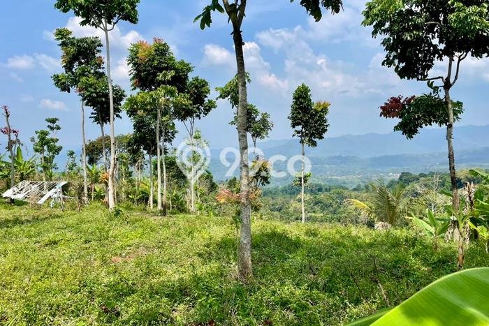Tanah Komersial Dijual di Sumedang Selatan Sumedang 1097m2 Tanah Komersial Dijual di Sumedang Selatan Sumedang 1097m2