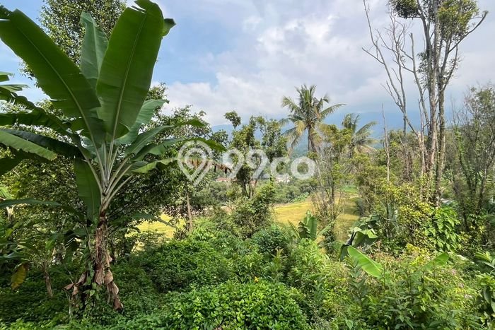 Tanah Kawasan Wanayasa, Luas 2035m², Sertifikat Hak Milik, Akses Wanayasa, Purwakarta, Purwakarta Tanah Kawasan Wanayasa, Luas 2035m², Sertifikat Hak Milik, Akses Wanayasa, Purwakarta, Purwakarta
