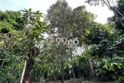 Lahan Kosong Dijual di Bojong, Purwakarta, Luas 903m2 Area Strategis Lahan Kosong Dijual di Bojong, Purwakarta, Luas 903m2 Area Strategis