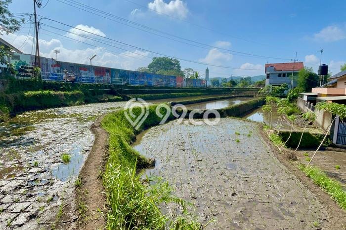 Tanah Komersial Dijual di Cimalaka Sumedang 2715m2 Tanah Komersial Dijual di Cimalaka Sumedang 2715m2