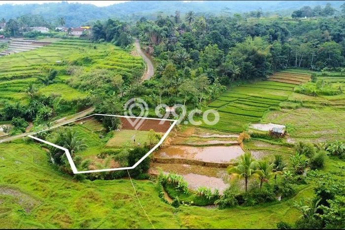 Lahan Kosong Dijual di Purwakarta dengan Area 1767m2 Lahan Kosong Dijual di Purwakarta dengan Area 1767m2