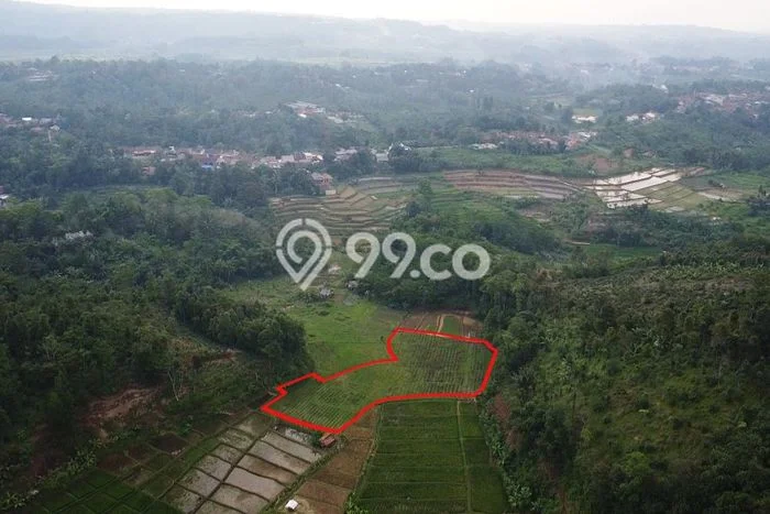 Tanah Kavling di Bojong Dijual dengan Luas 3669m2 Tanah Kavling di Bojong Dijual dengan Luas 3669m2