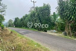HARGA TERBAIK! Tanah Kawasan Kiarapedes, Luas 4300m², Dekat Jalan Raya, Cocok untuk Investasi HARGA TERBAIK! Tanah Kawasan Kiarapedes, Luas 4300m², Dekat Jalan Raya, Cocok untuk Investasi