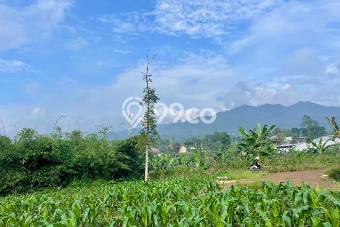 Tanah Dijual Lokasi Pamulihan, Sumedang Luas 4060m2 Legalitas Aman Tanah Dijual Lokasi Pamulihan, Sumedang Luas 4060m2 Legalitas Aman