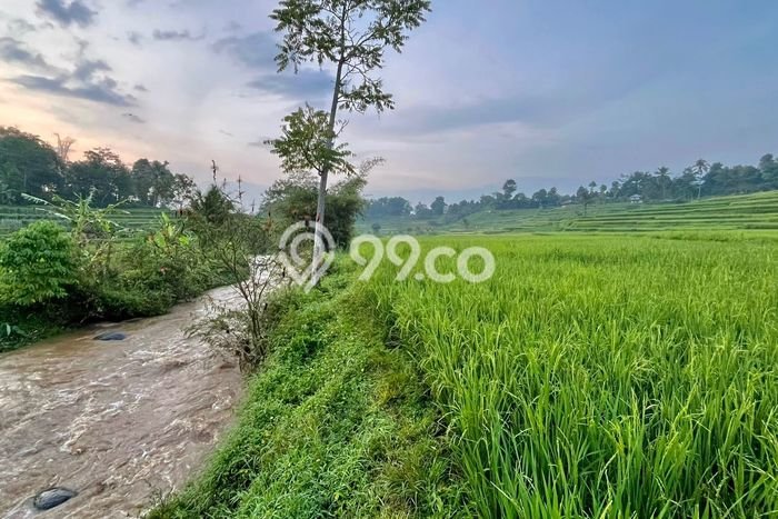 Kavling Tanah Dijual di Darangdan Purwakarta Spesifikasi 1731m2 Kavling Tanah Dijual di Darangdan Purwakarta Spesifikasi 1731m2