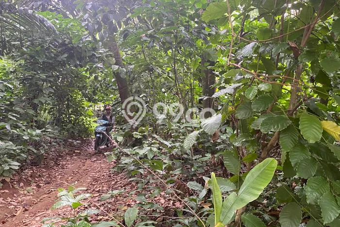 Tanah Kavling di Bojong Dijual dengan Luas 931m2 Tanah Kavling di Bojong Dijual dengan Luas 931m2