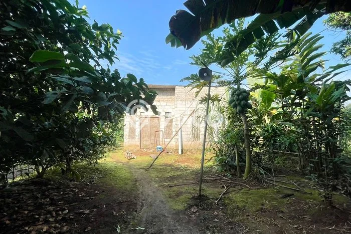 Rumah Minimalis Dijual Lokasi Bojong 2 Kamar dengan Luas Tanah 50m2 Rumah Minimalis Dijual Lokasi Bojong 2 Kamar dengan Luas Tanah 50m2