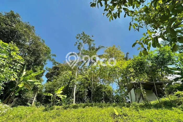 Tanah untuk Dijual di Wanayasa Purwakarta Luas 1100m2 Tanah untuk Dijual di Wanayasa Purwakarta Luas 1100m2
