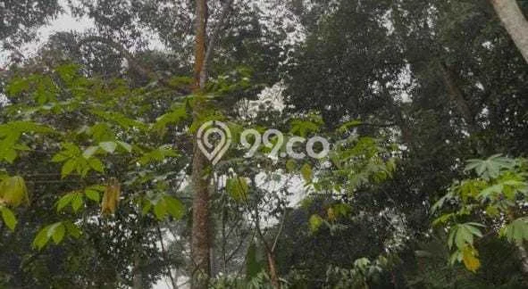 For Sale Rumah Elit Exclusive di Wanayasa, Purwakarta For Sale Rumah Elit Exclusive di Wanayasa, Purwakarta