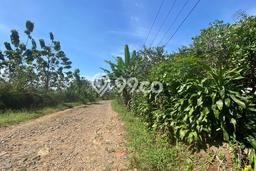 Jarang Ada! Tanah di Bojong Punya Luas 15043m2 SHM Jarang Ada! Tanah di Bojong Punya Luas 15043m2 SHM