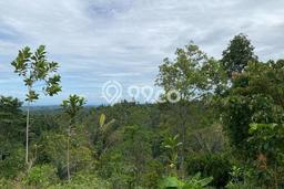 Tanah Dijual Lokasi Darangdan Purwakarta SHM Tanah Dijual Lokasi Darangdan Purwakarta SHM