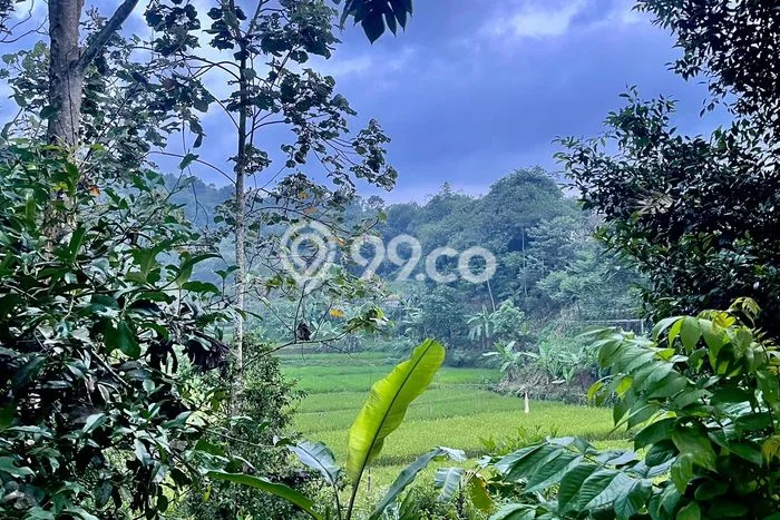 Tanah Kawasan Bojong, Luas 8106m², Area Strategis, Kawasan Asri, Kontur Datar Tanah Kawasan Bojong, Luas 8106m², Area Strategis, Kawasan Asri, Kontur Datar