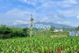 Tanah Dijual Lokasi Pamulihan, Sumedang Luas 4060m2 Legalitas Aman Tanah Dijual Lokasi Pamulihan, Sumedang Luas 4060m2 Legalitas Aman