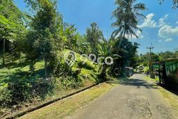 Tanah untuk Dijual di Wanayasa Purwakarta Luas 1100m2 Tanah untuk Dijual di Wanayasa Purwakarta Luas 1100m2