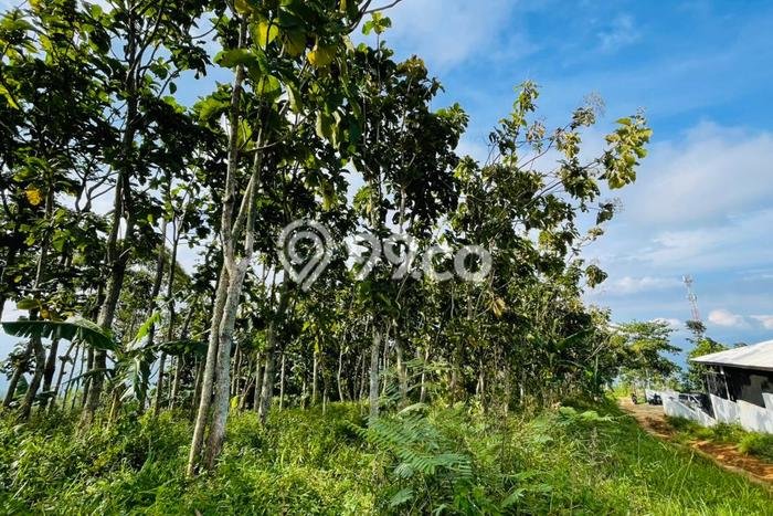 Kavling Tanah Dijual di Sumedang Selatan, Sumedang, Luas 3663m2 Area Strategis Kavling Tanah Dijual di Sumedang Selatan, Sumedang, Luas 3663m2 Area Strategis